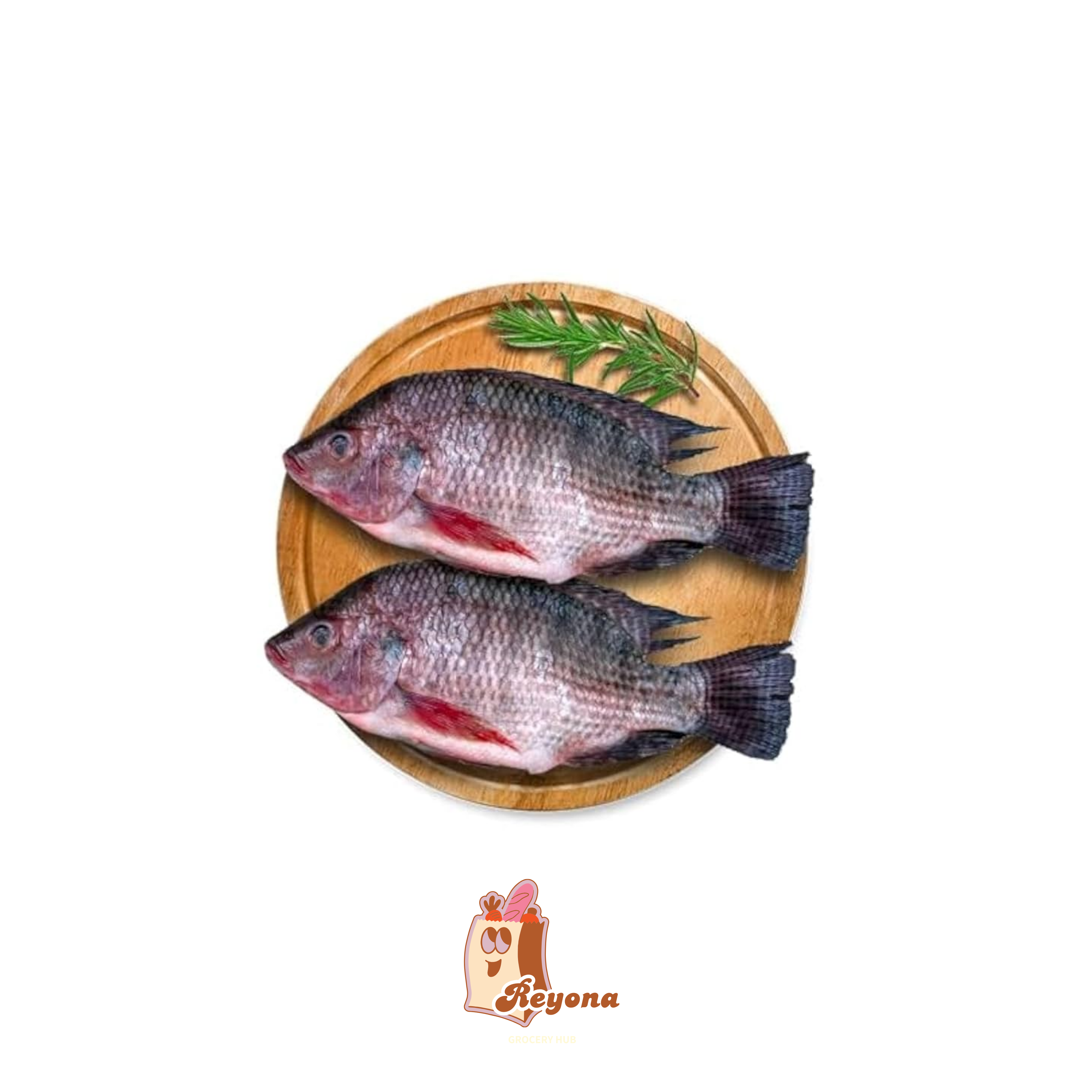 Tilapia (Fresh)